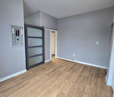 For Lease - 259 Clarence Street, London East, Ontario - Photo 2