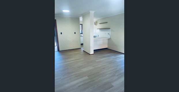 Excellent entertainer, huge private courtyard! - Photo 1