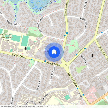 6 Skilling Place, Farm Cove, Manukau City