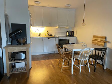 Tallparksvägen, Umeå - Photo 5