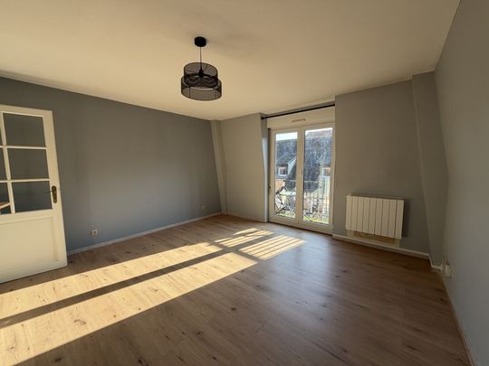 Location Appartement 2 pièces 56m² SELESTAT 67600 - Photo 1