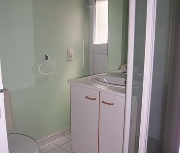 Location Appartement 1 pièce 17m² VICHY 03200 - Photo 3