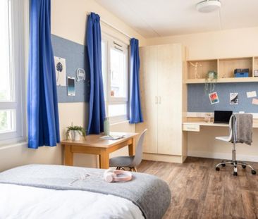 Studio to rent - Photo 3