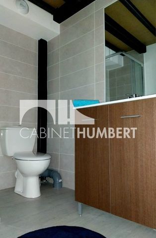 Location Appartement 1 pièce 28m² ST ETIENNE 42000 - Photo 5