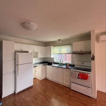 1 CH - 1 SDB - Sherbrooke - $980 /mo - Photo 3