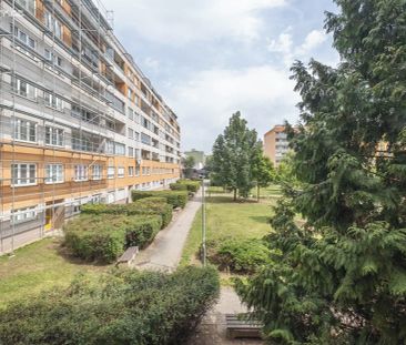 Pronájem bytu 1+kk 31 m² - Photo 6