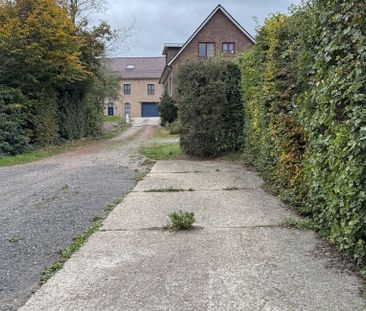 Studio met slaaphoek te huur in Bertem voor € 650 met 1 slaapkamer - Photo 4
