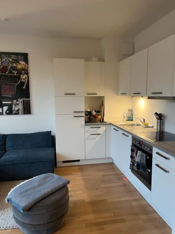 Suche Nachmieter für 2 Zimmerwohnung mit Terrasse (UNMÖBLIERT) - Photo 3