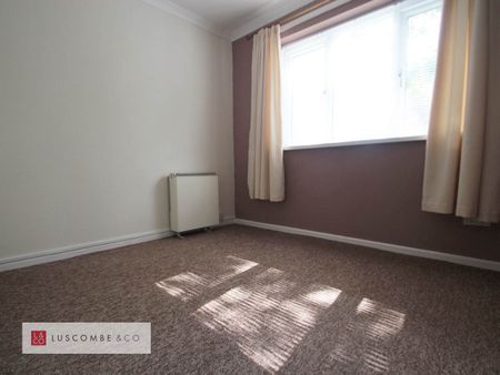 Collingwood Avenue - Photo 3