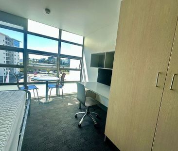 Central Auckland Studio Apartment! - Photo 6