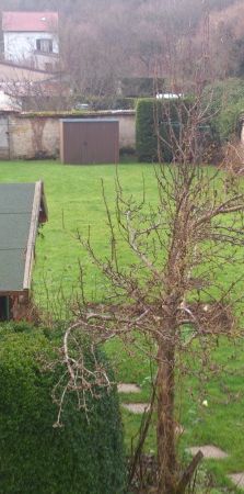 Location Appartement 5 pièces 93m² LAXOU 54520 - Photo 2