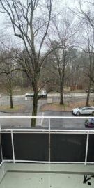 Frisch Sanierte 2-Zimmer-Wohnung in Mittelfeld - Foto 3