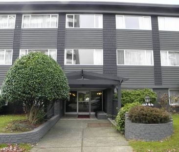 1 Bedroom Available March 1 at Carlton House! - Photo 4