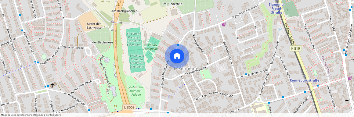 Sigmund-Freud-Straße 44, 60435, Frankfurt Am Main