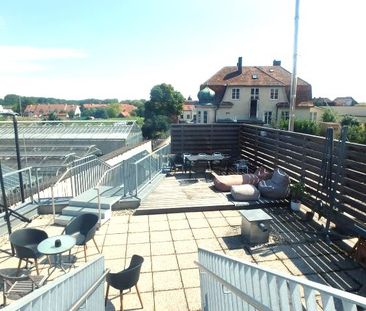 NEUWERTIGE DACHGESCHOSSWOHNUNG NÄHE DPU ZU VERMIETEN - Foto 3