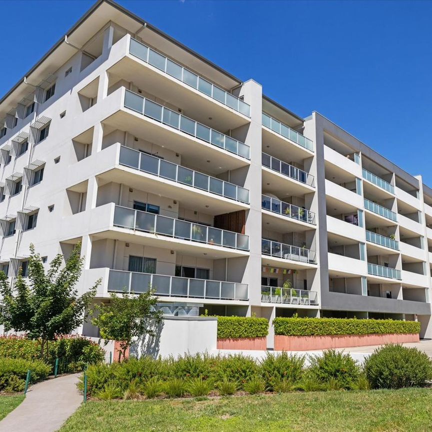 Modern one bedroom in Molonglo Valley - Photo 1