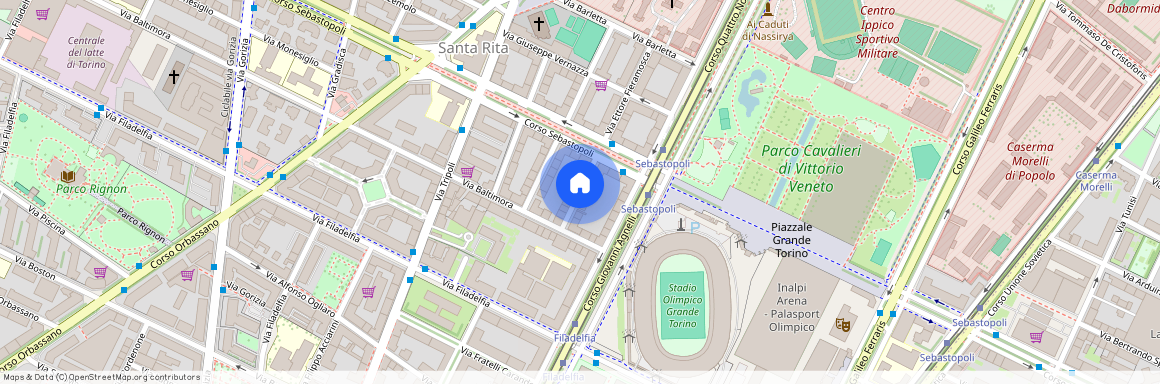 Via Carlo Castelnuovo delle Lanze, Turin, Piedmont 10137