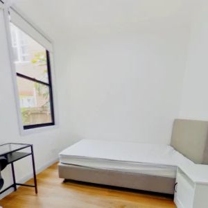 3 Sadlier Petersham, Sydney - Photo 2