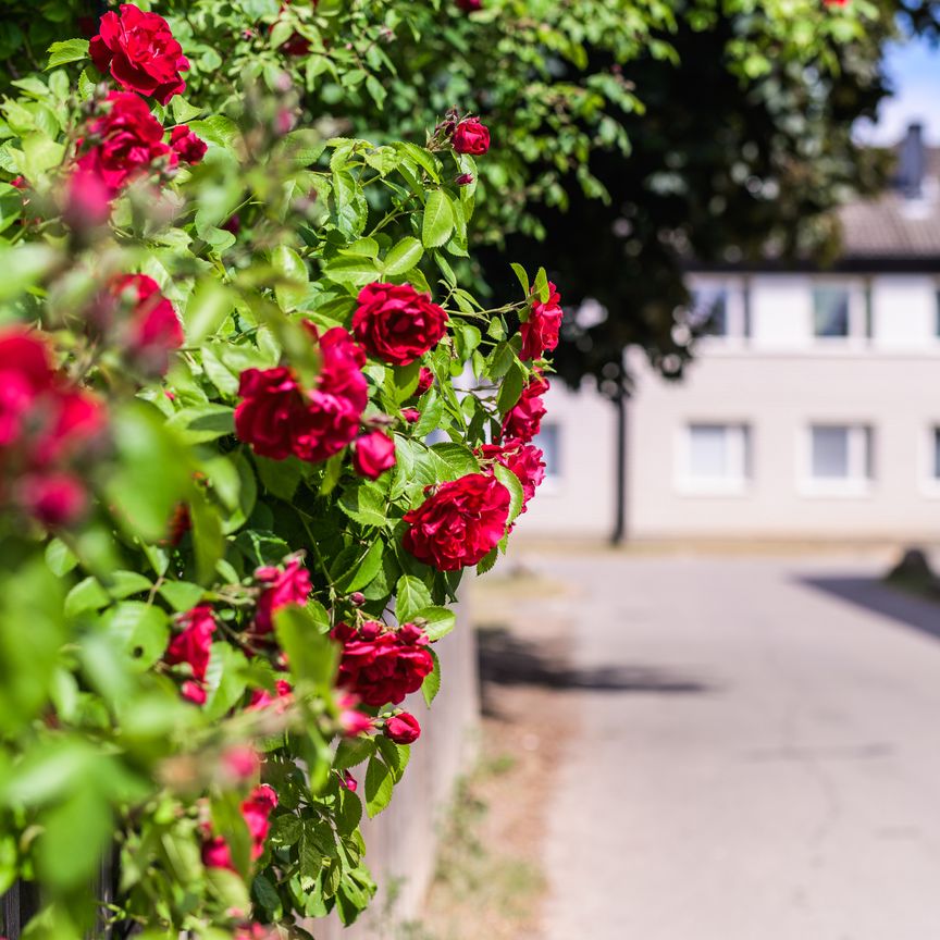 Fogdegatan, Linköping - Photo 2