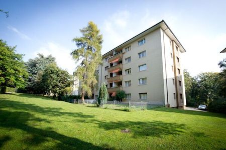 Votre premier appartement avec jardin ! CDD jusqu’au 28.02.2027 - Foto 3