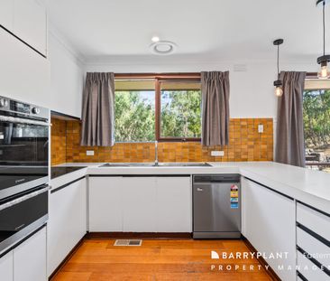 Updated Family Home in Peaceful & Convenient Location - Photo 3