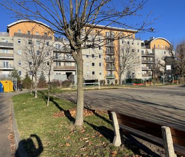 Poznań, Poznań-Stare Miasto - Photo 5