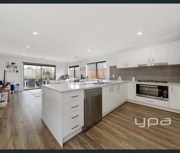 Easy Living! - Photo 2