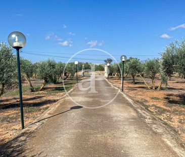 House for rent in Llucmajor - Photo 4