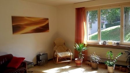 2½ Zimmer-Wohnung in Adliswil (ZH), möbliert, auf Zeit - Foto 3