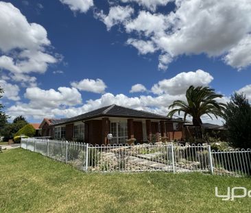 Modern 3-Bedroom Home with Solar Panels - Photo 4