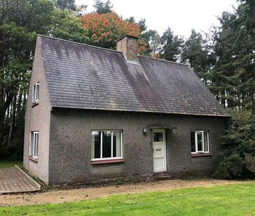 Todridge East Cottage, Great Whittington, Newcastle Upon Tyne, NE19 - Photo 1