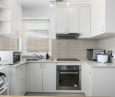 Furnished Delight in Campbell! - Photo 4