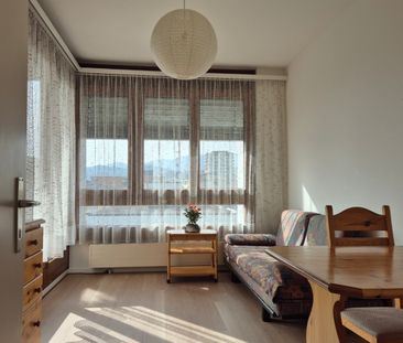 2 ZI-WOHNUNG IN VIGANELLO (TI), MÖBLIERT - Photo 1