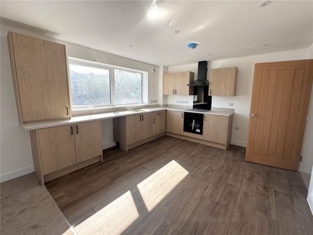 Evergreen View, Albany House, Albany Street, Ilkeston, Derbyshire, DE7 - Photo 4