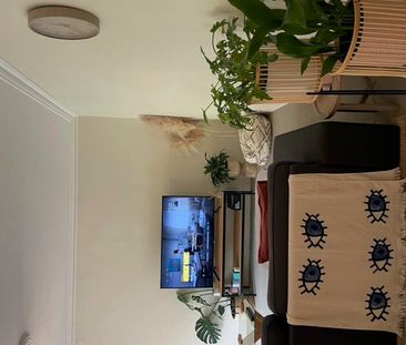Drummoyne - Photo 2