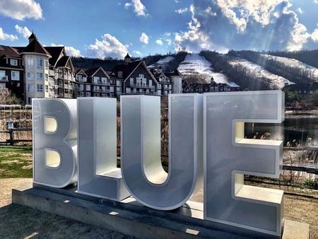 For Lease - 639 Johnston Park Avenue, Collingwood, Ontario - Photo 2