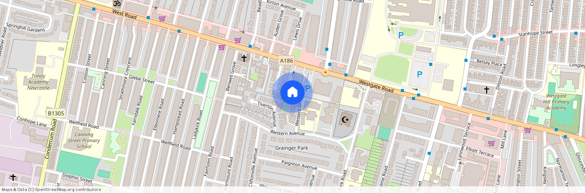 Western Drive, Newcastle upon Tyne, NE4 8SQ, Newcastle Upon Tyne