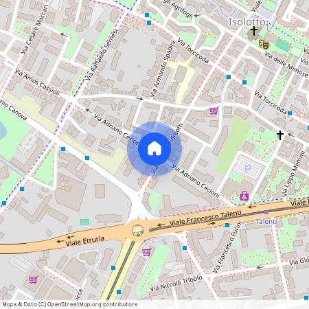 Via Adriano Cecioni, Isolotto-Legnaia, Firenze, Firenze, 50142, Toscana