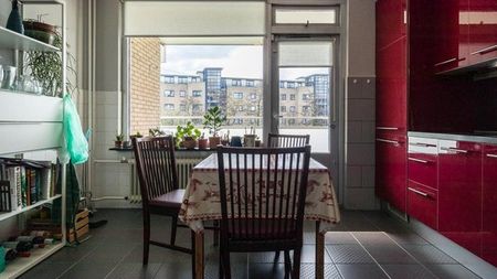 Te huur: Appartement Boerhaavelaan in Leiden - Foto 4