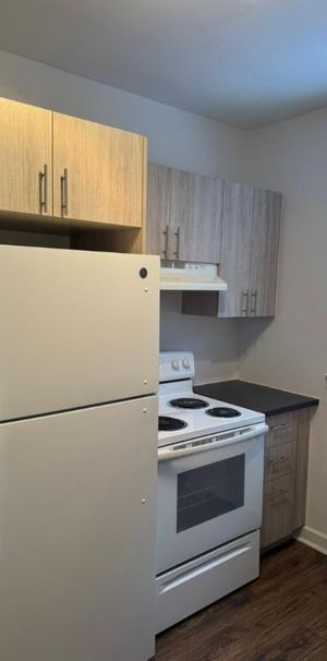 4 1/2 À LOUER, CÔTE-DES-NEIGES, DEUX CHAMBRES, LIBRE MAINTENANT - Photo 1