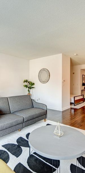 2 Bedrooms - 1009 Rue De Bleury, Montréal - Photo 1