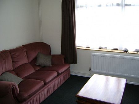 4 Bedroom student House - Christchurch Uni - Photo 3