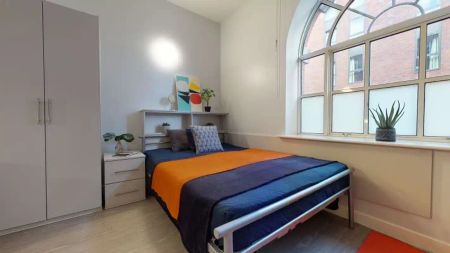 Bronze Studio Plus - Photo 5