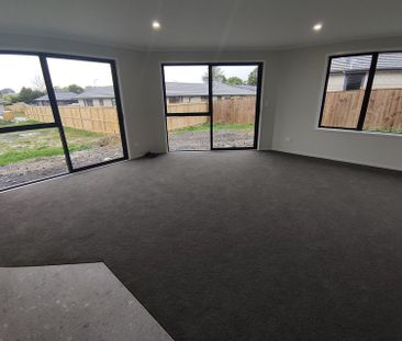 Beautiful 4 Bedroom Home in Te Kauwhata - Photo 1