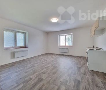 Pronájem cihlového bytu 1+kk v Prosenicích. - Photo 1