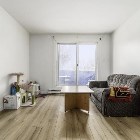 Appartement 4 ½ à louer Limoilou décembre 2025 - Photo 3