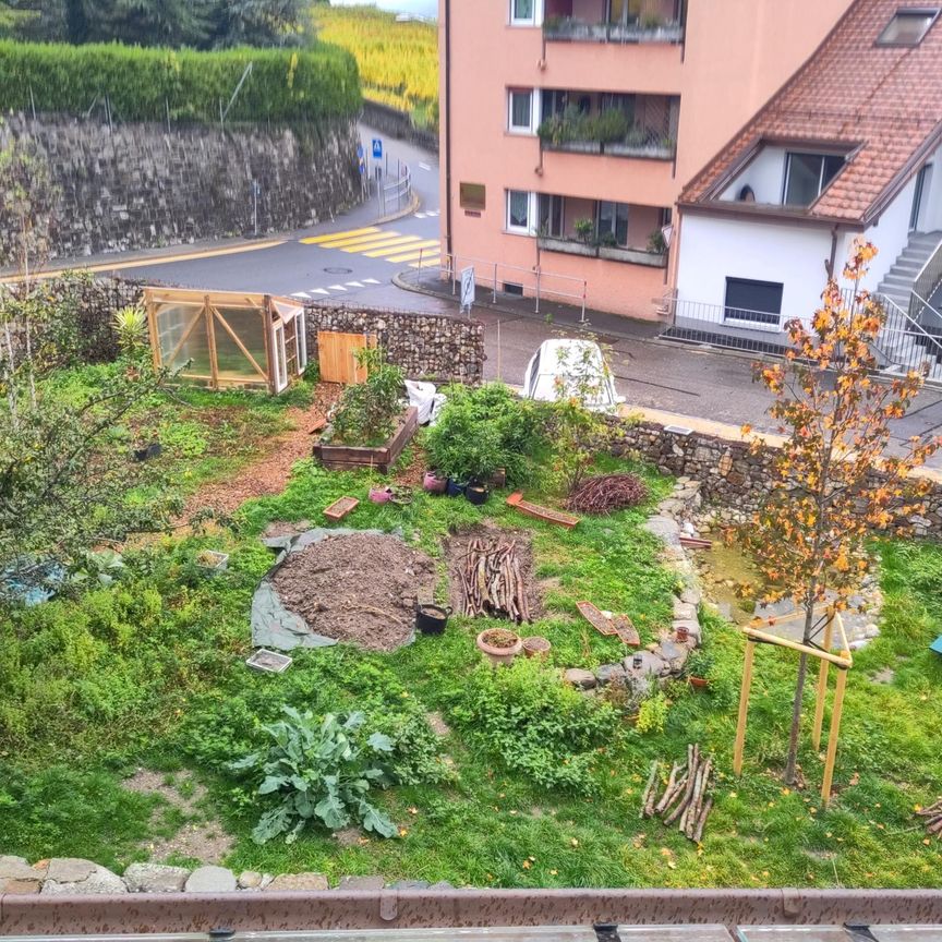 Choisir l'habitat partagé - Photo 1
