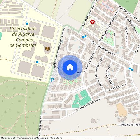 Rua dos Malmequeres, Faro