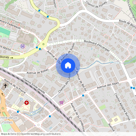 Avenue de l' Ile-Heureuse 1, 1800 VEVEY