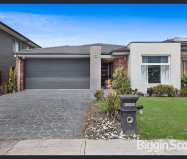 Contemporary home close to prestigious schools and parkland - Photo 5